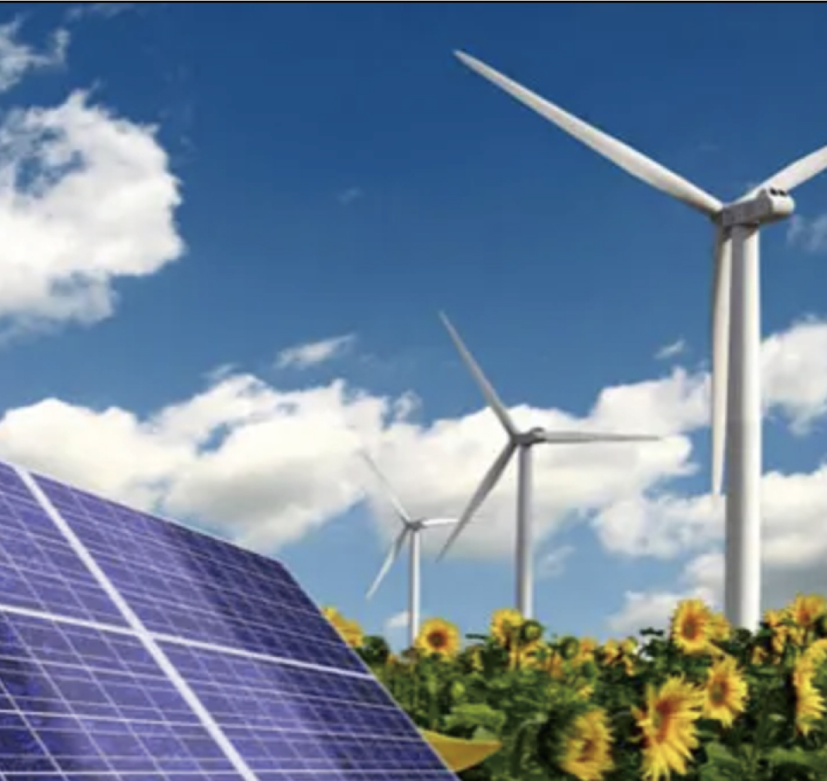 中實業(yè)績圖片整理(lǐ)_畫(huà)闆 1 副本 6.jpg