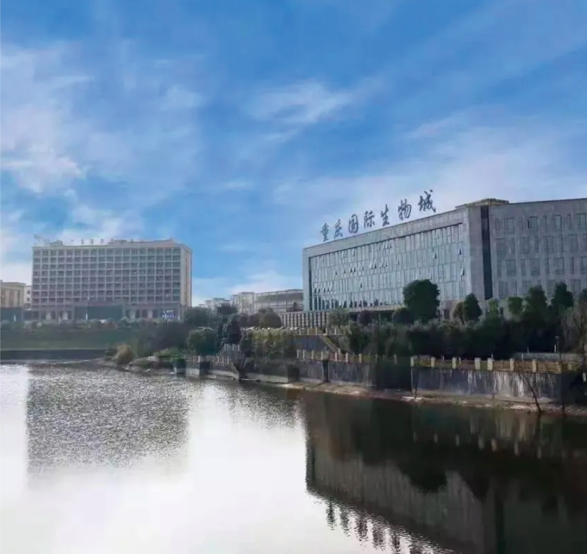 中實業(yè)績圖片整理(lǐ)_畫(huà)闆 1 副本 14.jpg