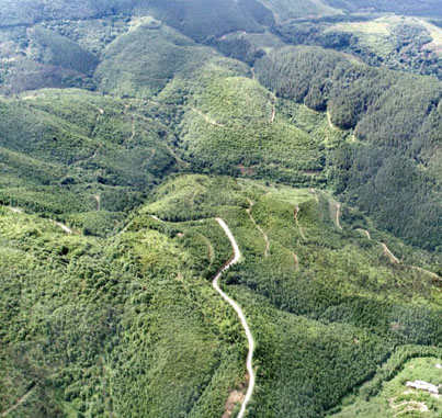 渝北(běi)區(qū)王家(jiā)街(jiē)道(dào)森(sēn)林(lín)防火(huǒ)公路(lù)工(gōng)程